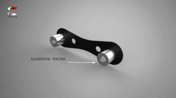 Number Plate Mount for WANDERER Windshield – CARBON RACING